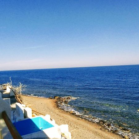 Santorini Grace Villa No1 Foinikiá 外观 照片